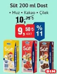 DOST SÜT 200 ML